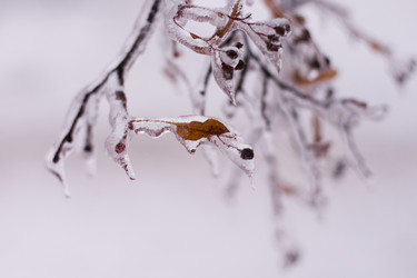 Similar image 799299