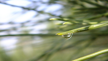 Similar image 799303