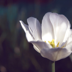 Similar image 799304