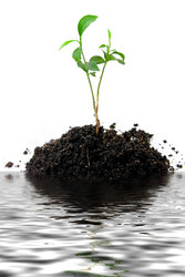 Similar image 799323