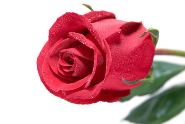 Similar image 799387