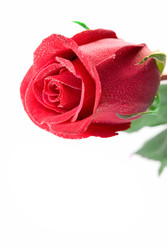 Similar image 799388