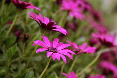 Similar image 799443