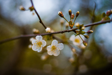 Similar image 799448