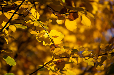 Similar image 799475