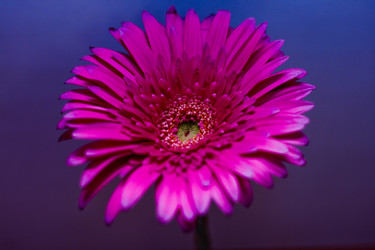 Similar image 799476