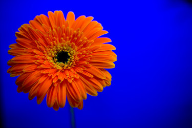 Similar image 799478