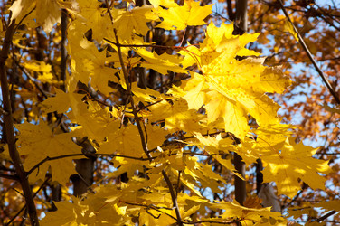 Similar image 799479