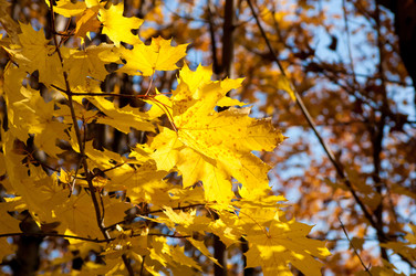 Similar image 799481