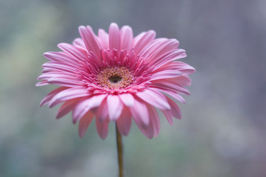 Similar image 799492