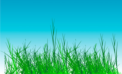 Similar image 799493