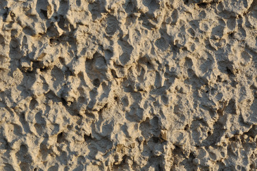 Similar image 799542