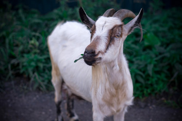 Similar image 799603