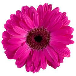 Similar image 799620