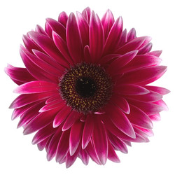 Similar image 799622