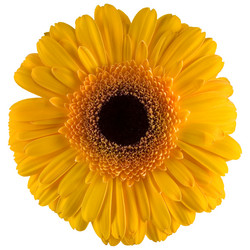 Similar image 799624