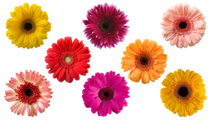 Similar image 799626