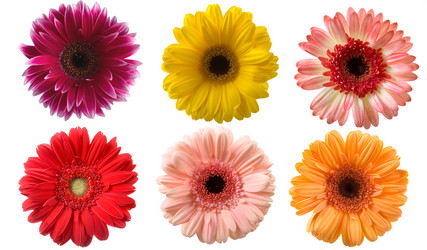 Similar image 799627