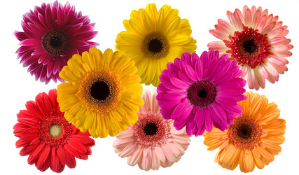 Similar image 799628