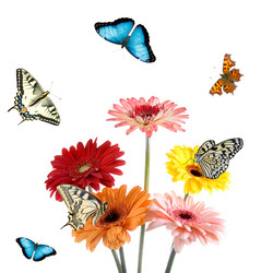 Similar image 799631