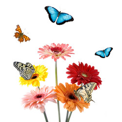 Similar image 799633