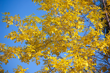 Similar image 799634