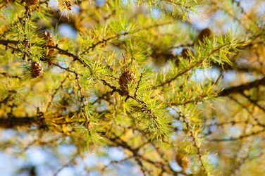 Similar image 799639