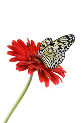 Similar image 799641