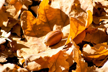 Similar image 799643