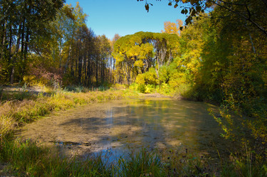 Similar image 799647