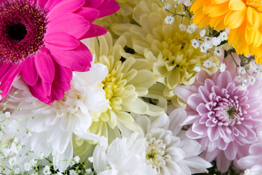 Similar image 799650