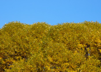 Similar image 799652