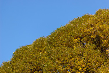 Similar image 799653