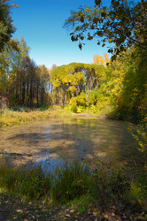 Similar image 799658