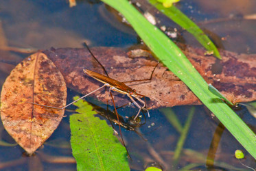 Similar image 799689