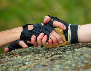 Similar image 799695