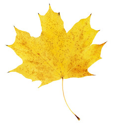 Similar image 799696