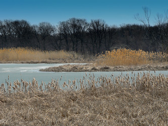 Similar image 799738