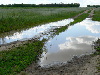 Similar image 799745