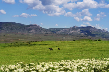 Similar image 799764