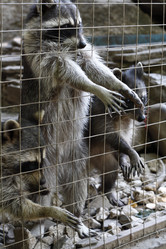 Similar image 799772