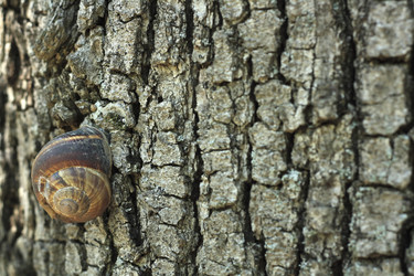 Similar image 799784