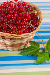 Similar image 799785