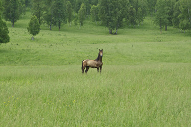 Similar image 799821