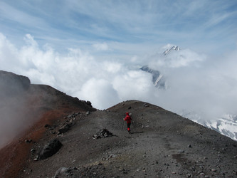 Similar image 799864