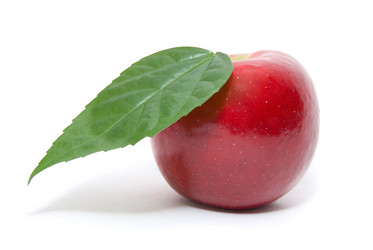 Similar image 799875