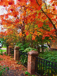 Similar image 799876