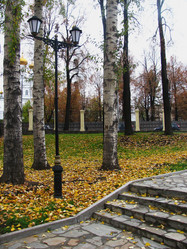 Similar image 799879