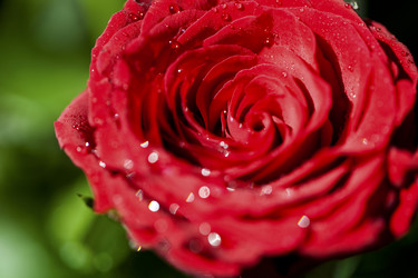 Similar image 799984