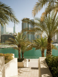 Similar image 799995